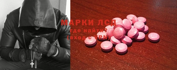 спиды Аркадак