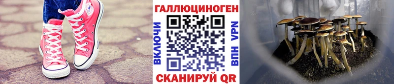 Галлюциногенные грибы ЛСД наркота Мытищи