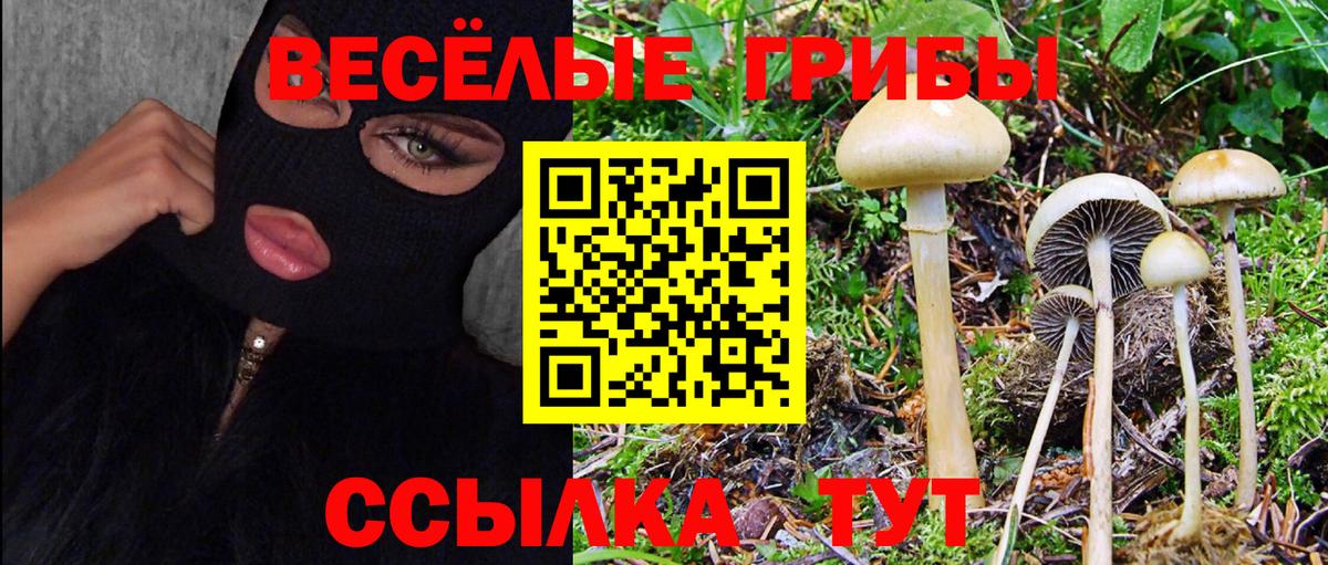 Галлюциногенные грибы прущие грибы  купить   Вход с VPN  Мытищи  Псилоцибиновые грибы ЛСД 