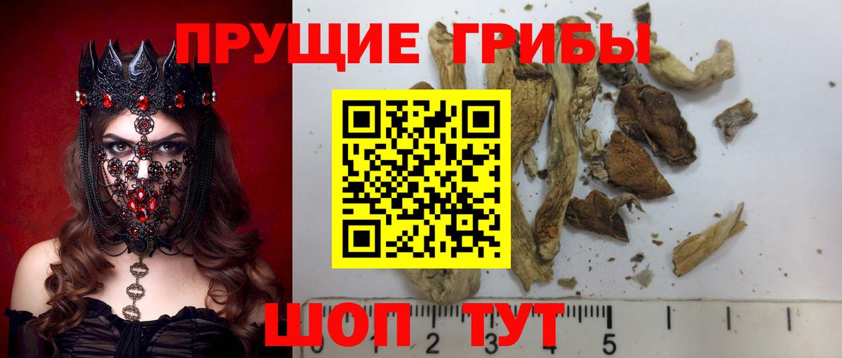 Галлюциногенные грибы мицелий Мытищи